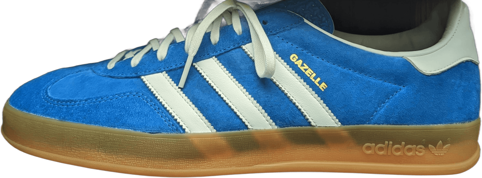 Gazelle Indoor in Blue Bird/Cloud White/Gum